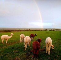 Secluded Converted Horsebox Retreat in Welcombe
