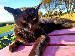 Secluded Converted Horsebox Retreat in Welcombe