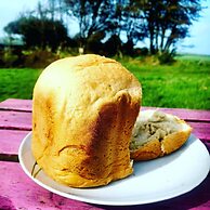 Secluded Converted Horsebox Retreat in Welcombe