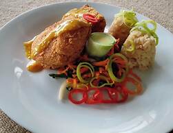 Oassis Conexion Sin Fronteras