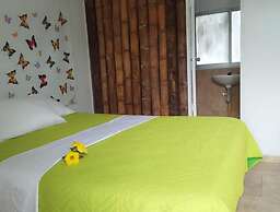 Oassis Conexion Sin Fronteras