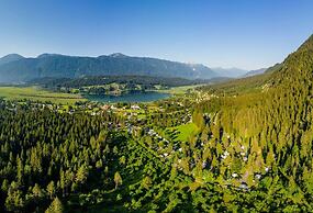 Comfortable Chalet Near the Pressegger See