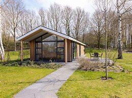 Modern Lodge With air Conditioning, in Green Twente