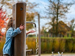 Chalet by Park Pond in the Netherlands