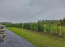 Chalet by Park Pond in the Netherlands