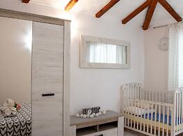 Authentic Dalmatian Treasure Homes