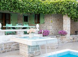 Authentic Dalmatian Treasure Homes