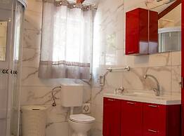 Authentic Dalmatian Treasure Homes