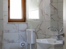 Authentic Dalmatian Treasure Homes