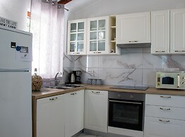 Authentic Dalmatian Treasure Homes