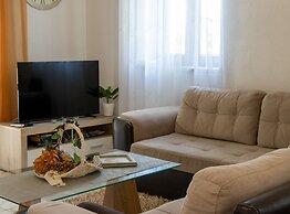 Authentic Dalmatian Treasure Homes