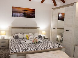Authentic Dalmatian Treasure Homes