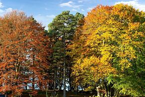 Sweet Donside Cabins