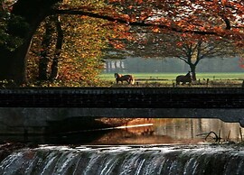 Chalet by Pond With Sauna