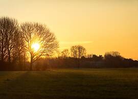 Chalet by Pond With Sauna
