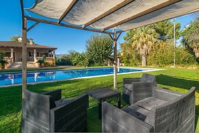 Can Berguins in Buger