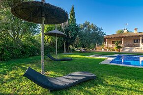 Can Berguins in Buger