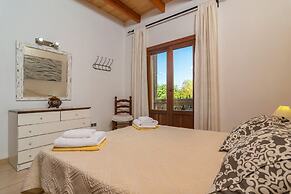 Can Berguins in Buger