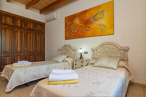 Can Berguins in Buger