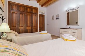 Can Berguins in Buger