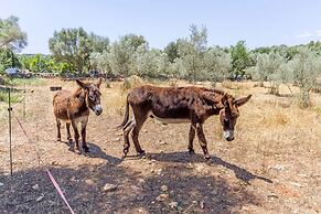 Can Pina - Adults Only Eco Groc