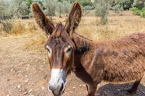 Can Pina - Adults Only Eco Arco