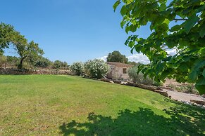 Alcudiola in Mallorca