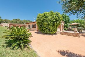 Alcudiola in Mallorca