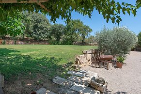 Alcudiola in Mallorca