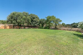 Alcudiola in Mallorca