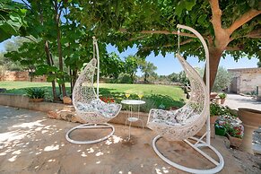 Alcudiola in Mallorca