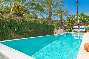 Anima in Can Picafort