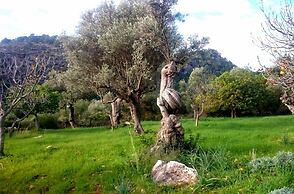 Ca Na Carme Alaronera