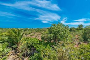 Barcelo-danus in Portocolom
