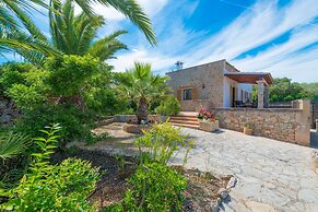 Barcelo-danus in Portocolom