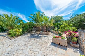 Barcelo-danus in Portocolom