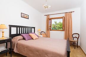 Barcelo-danus in Portocolom