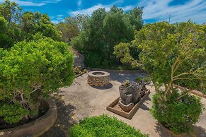 Barcelo-danus in Portocolom