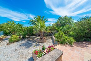 Barcelo-danus in Portocolom