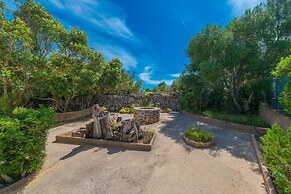 Barcelo-danus in Portocolom