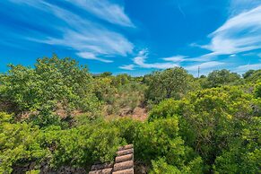 Barcelo-danus in Portocolom