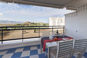 Alejandrita in Grau i Platja