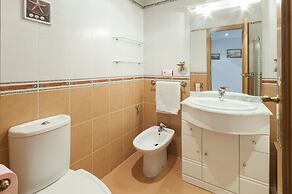 Alejandrita in Grau i Platja