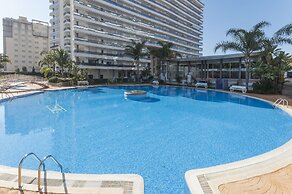 Alejandrita in Grau i Platja