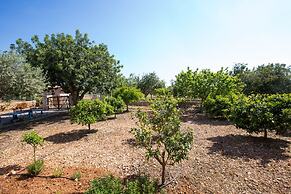 Can Marines in Santa y