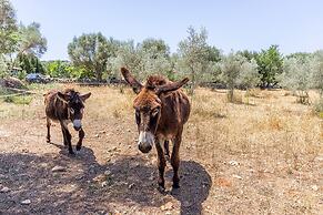 Can Pina - Adults Only Eco Redonda 2