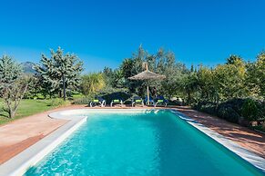 Cas Colector in Selva