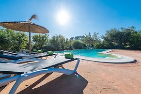 Cas Colector in Selva