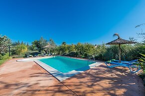 Cas Colector in Selva