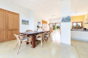 Cas Colector in Selva